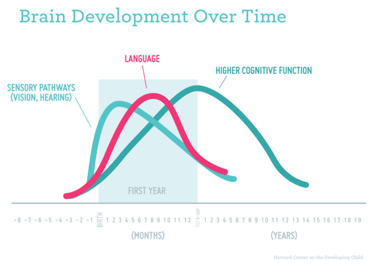 Brain-development-over-time-1.png Brain-development-over-time-1.png